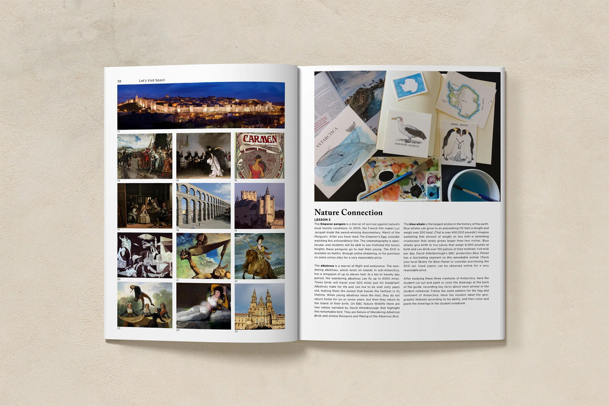 Around the World (K-4) Africa, Asia, Australia, Antarctica - Image 3