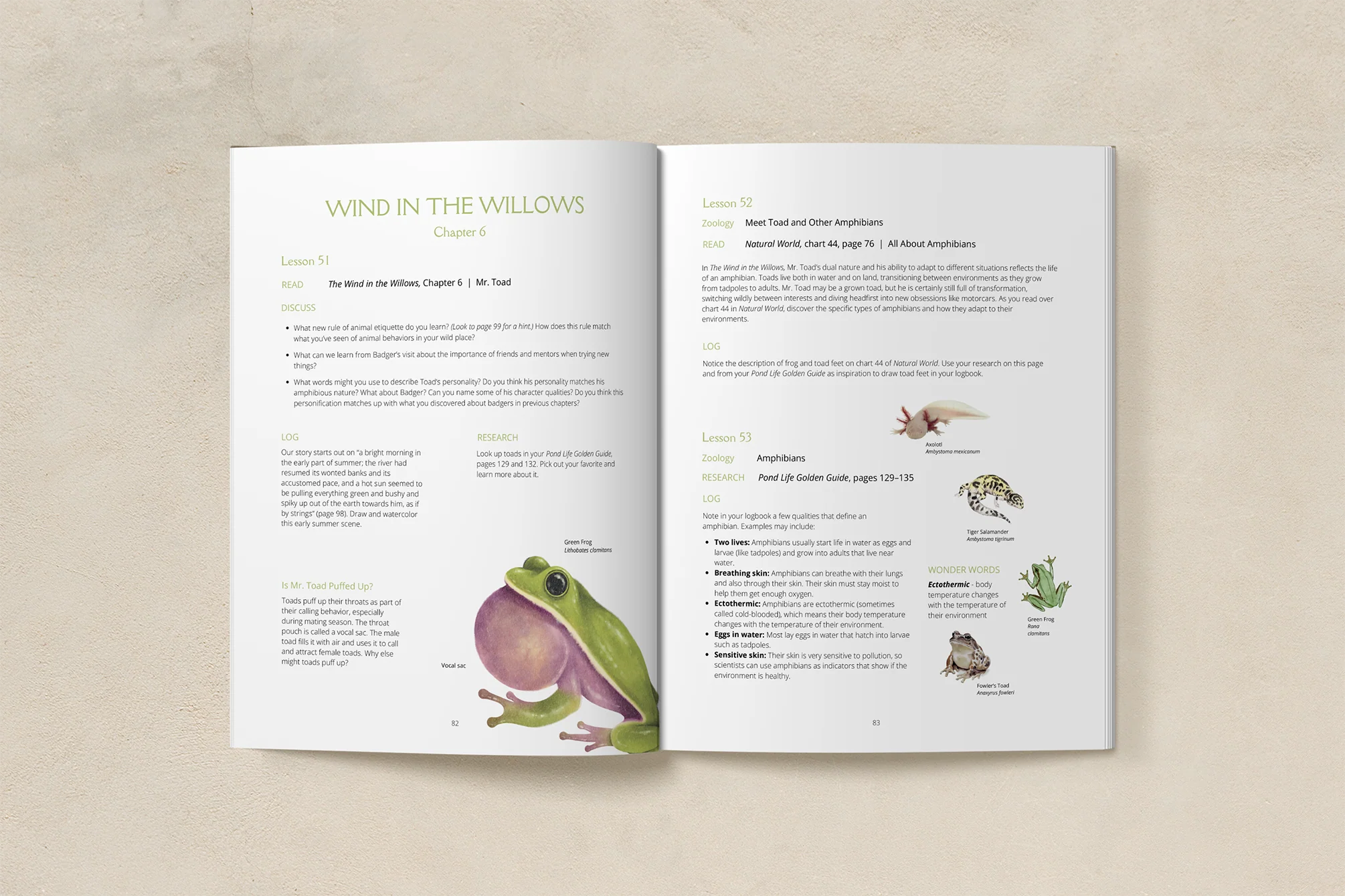 Far Afield Teacher Guide - Image 3