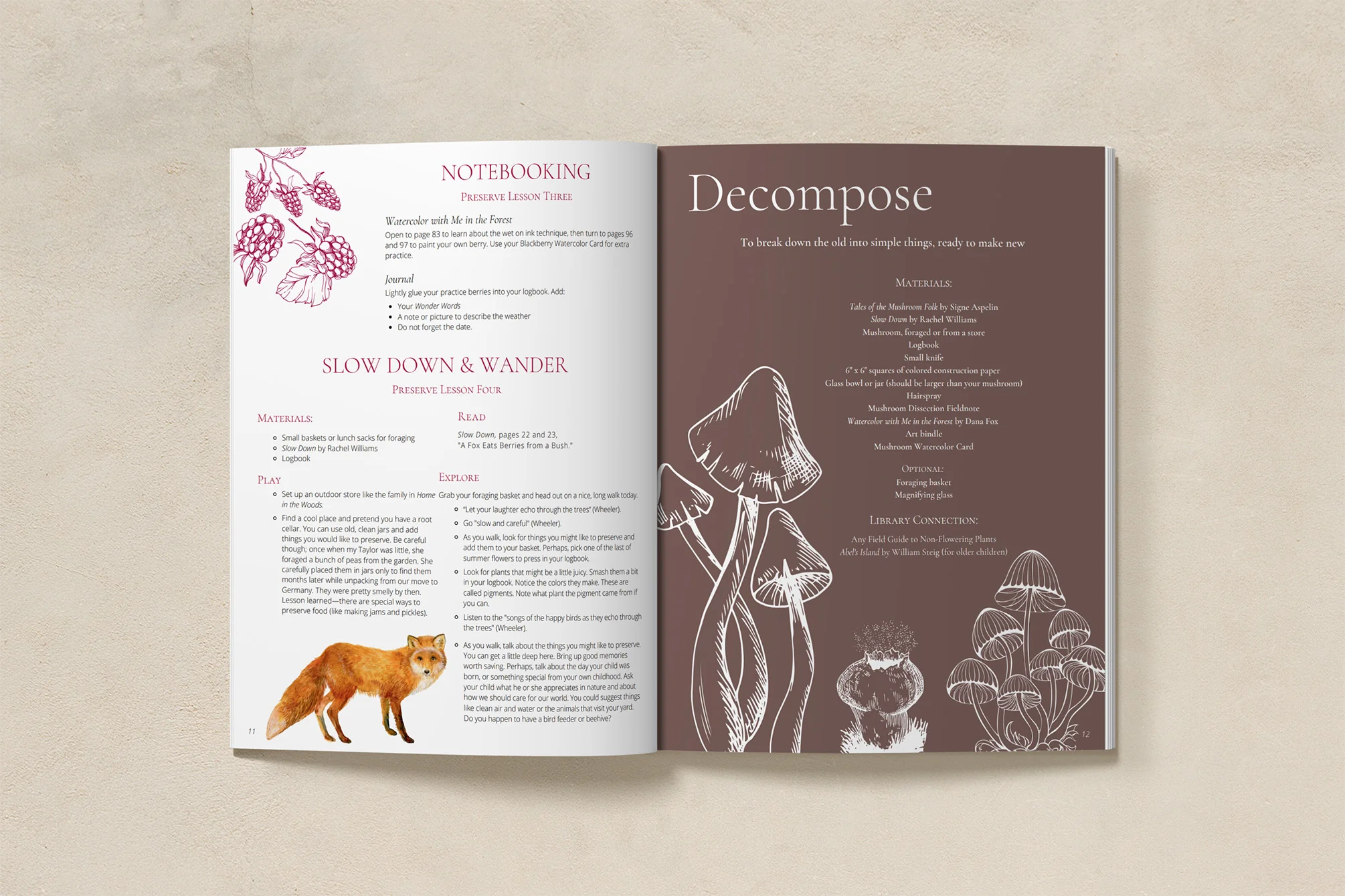 Seasons Afield Nature Study (K-3) - Image 3
