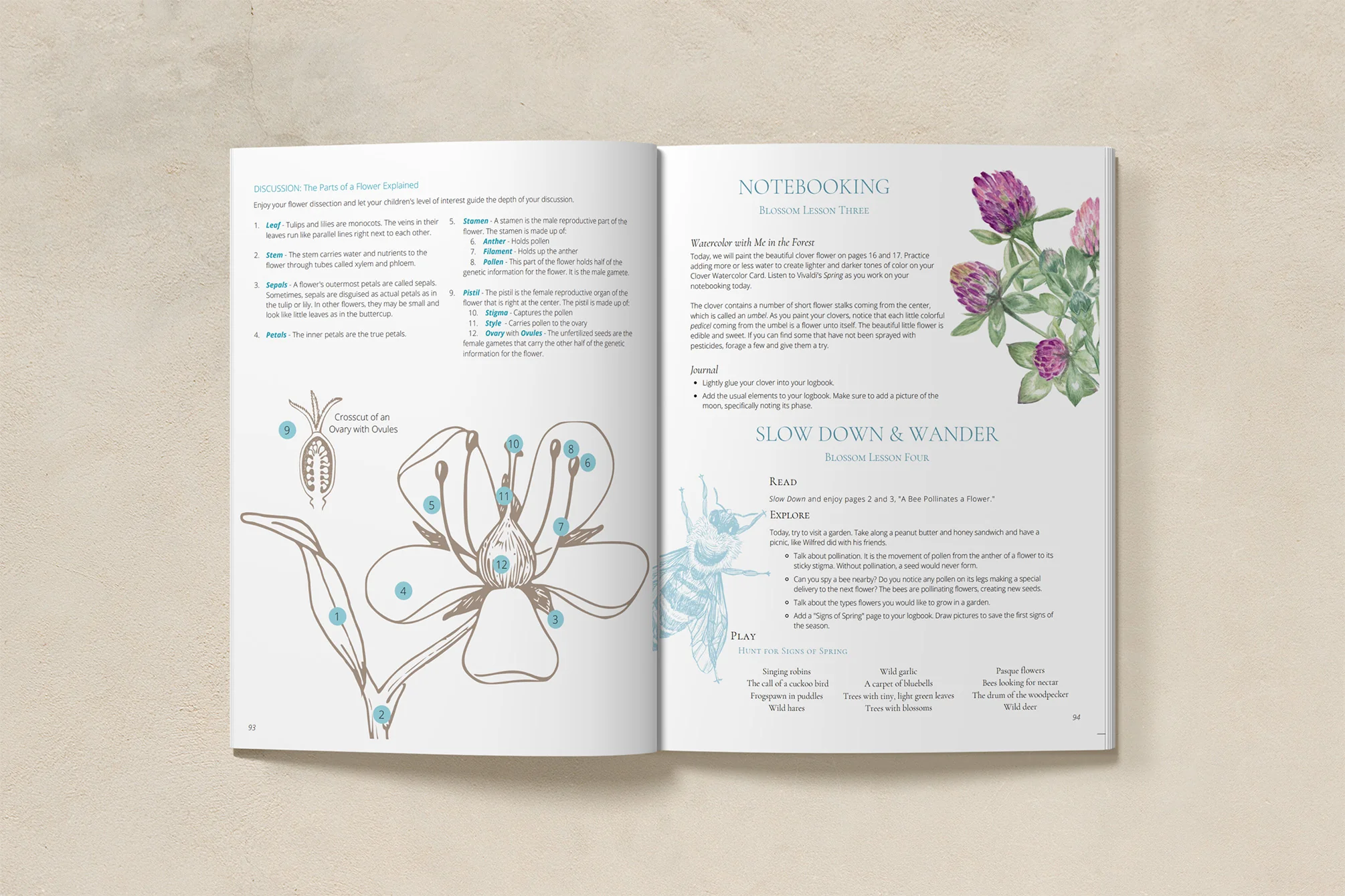 Seasons Afield Nature Study (K-3) - Image 4