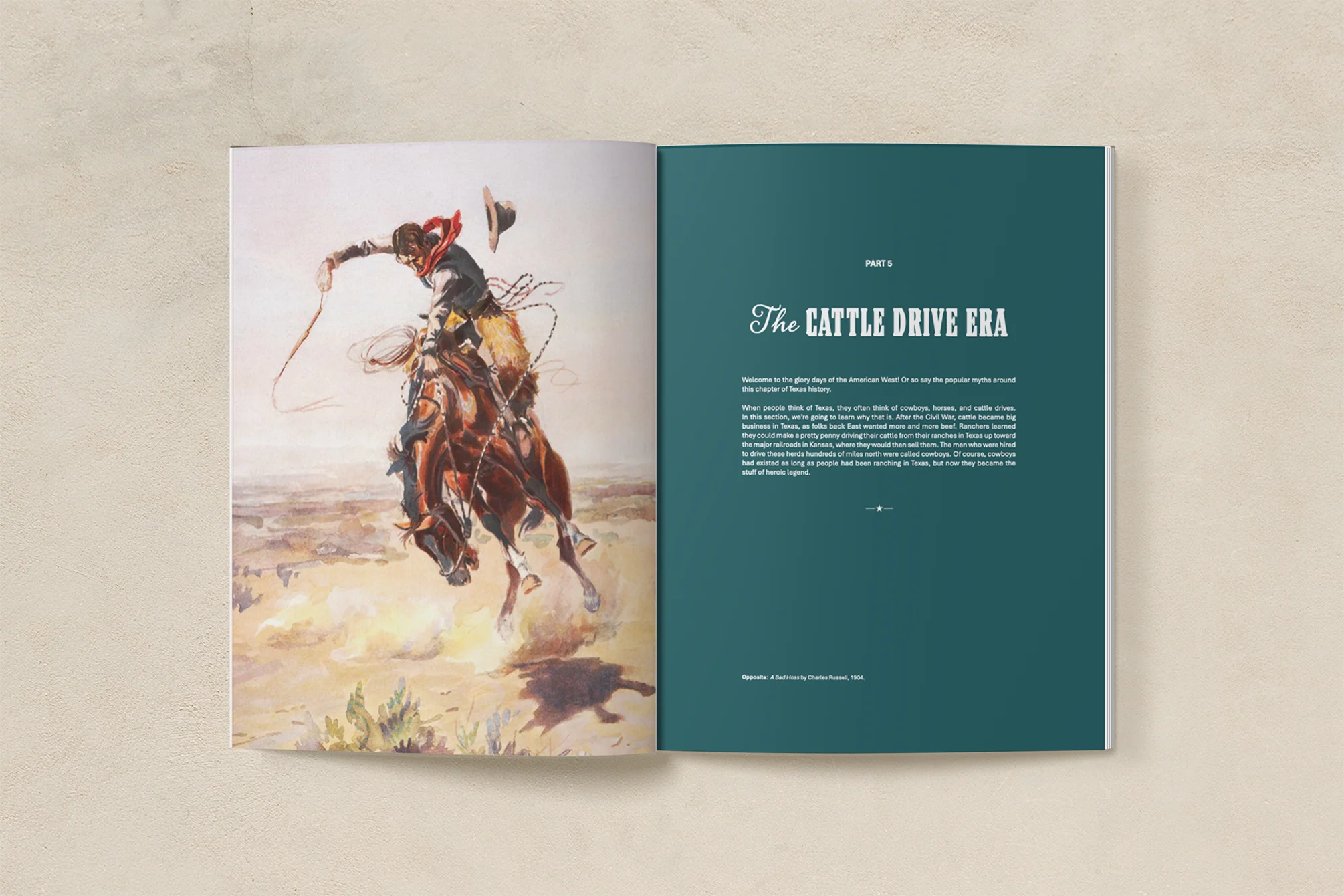 Texas History 4-6 Teacher Guide (Download) - Image 4